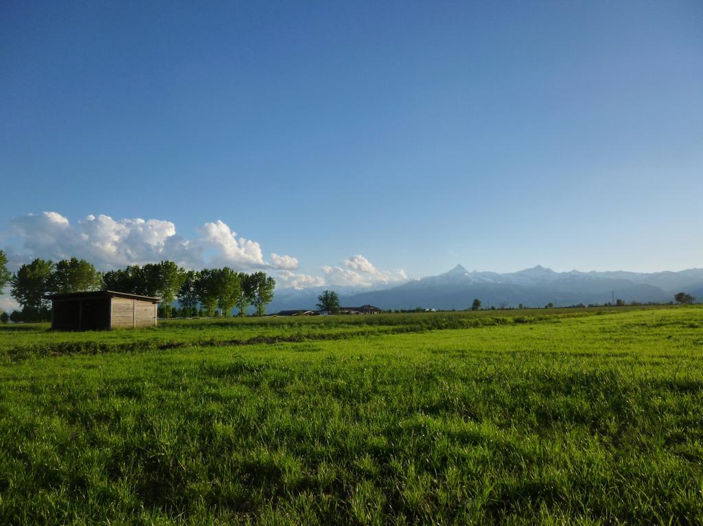 Vigone Tenuta Ajrale المظهر الخارجي الصورة